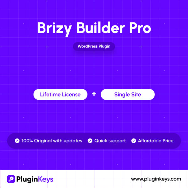 Brizy Builder Pro